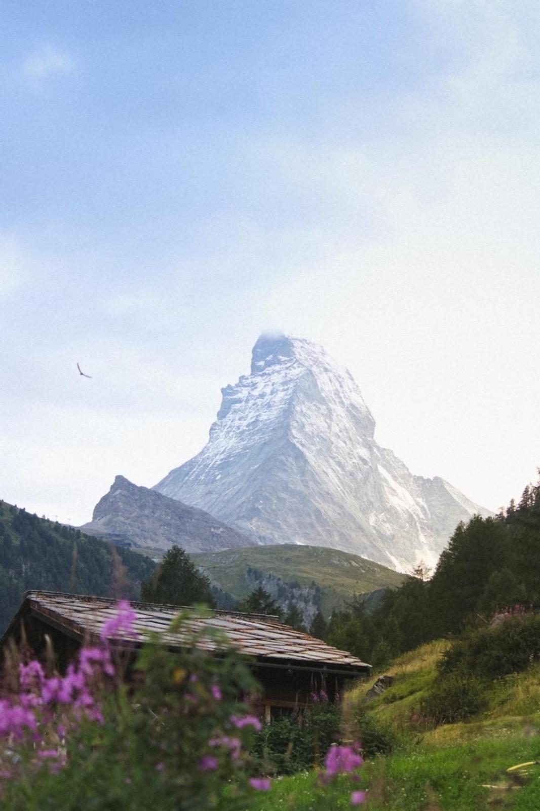 Studio Wolli - Stylish & Central - Steps To Matterhorn Gondola Zermatt Exterior photo